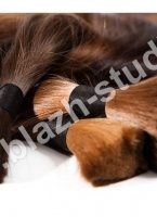 Наращивание волос_19